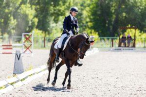 Rider on a dark equitation horse during early moments of dressage training